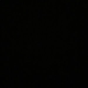 Meet your Posher, Bridget